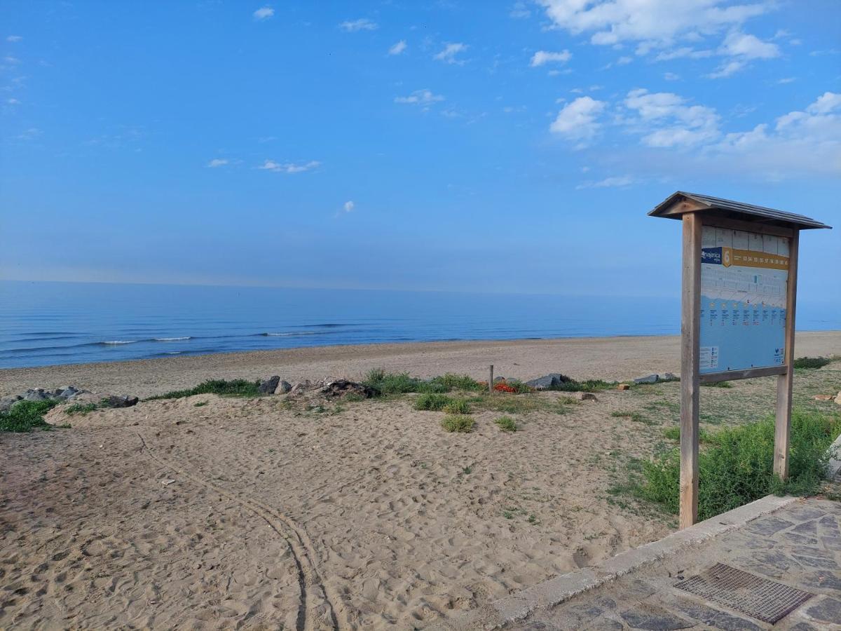 Casamare Διαμέρισμα Torvaianica Εξωτερικό φωτογραφία